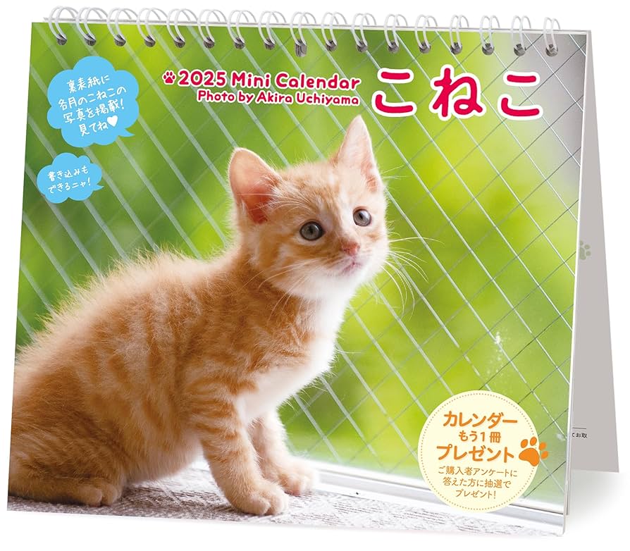 【新品】名前はまだない。 猫 2025 卓上カレンダー直筆サイン入チェキ 2025年の卓上カレンダーはこちら一択❣️】 購入者限定特典 「各